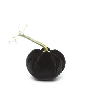 5" Velvet Pumpkin- Ebony
