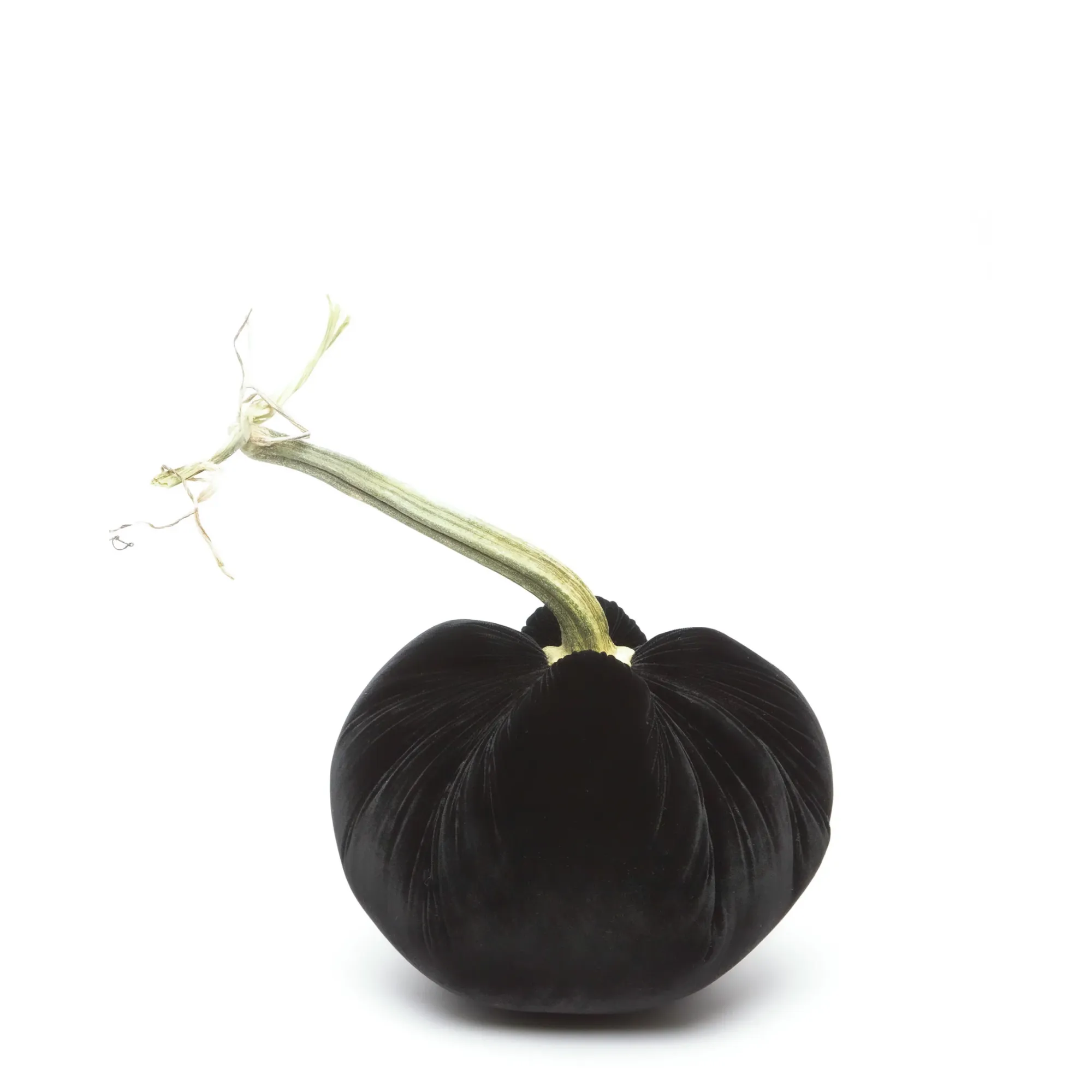 5" Velvet Pumpkin- Ebony