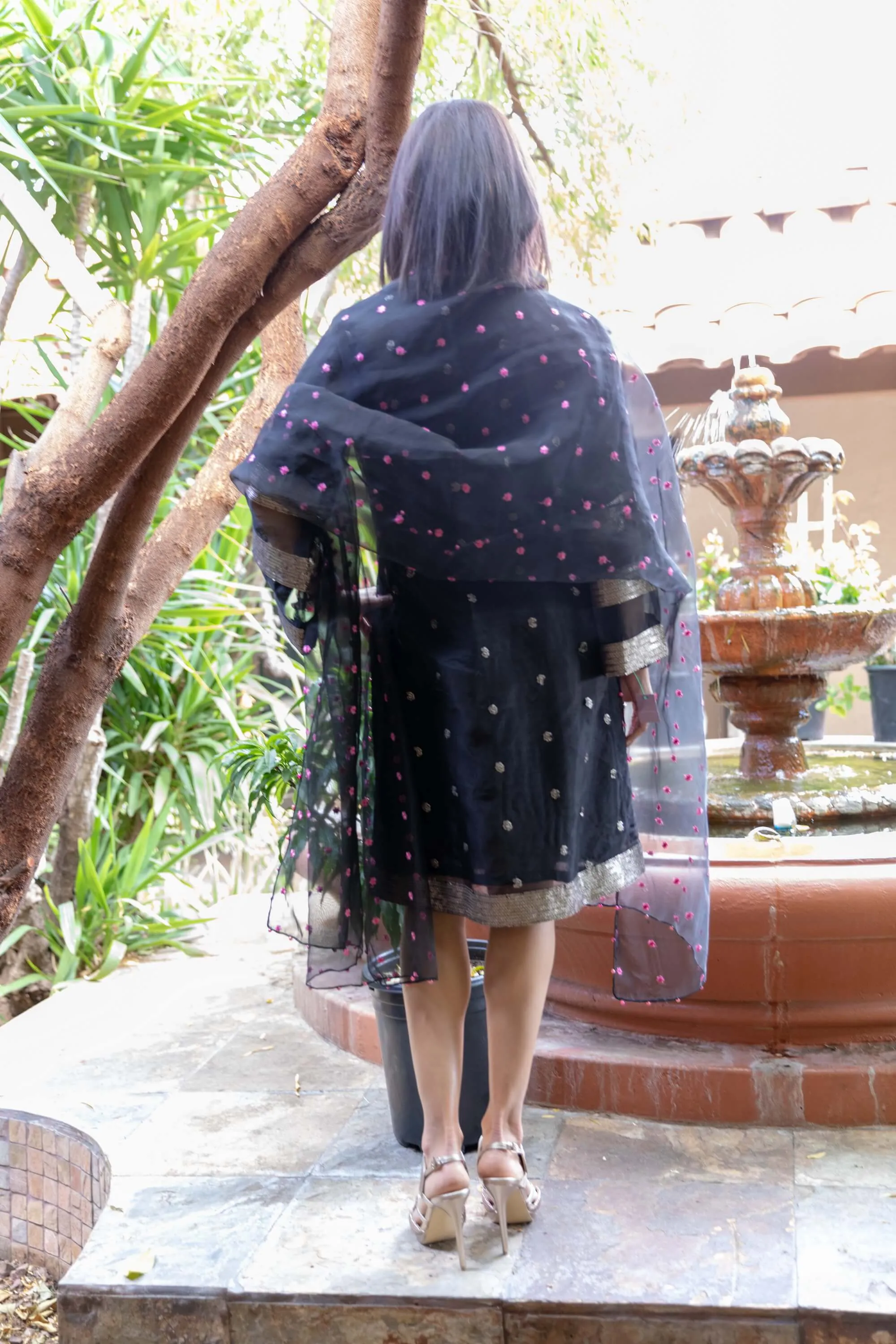 Black Organza Suit With Embroidery
