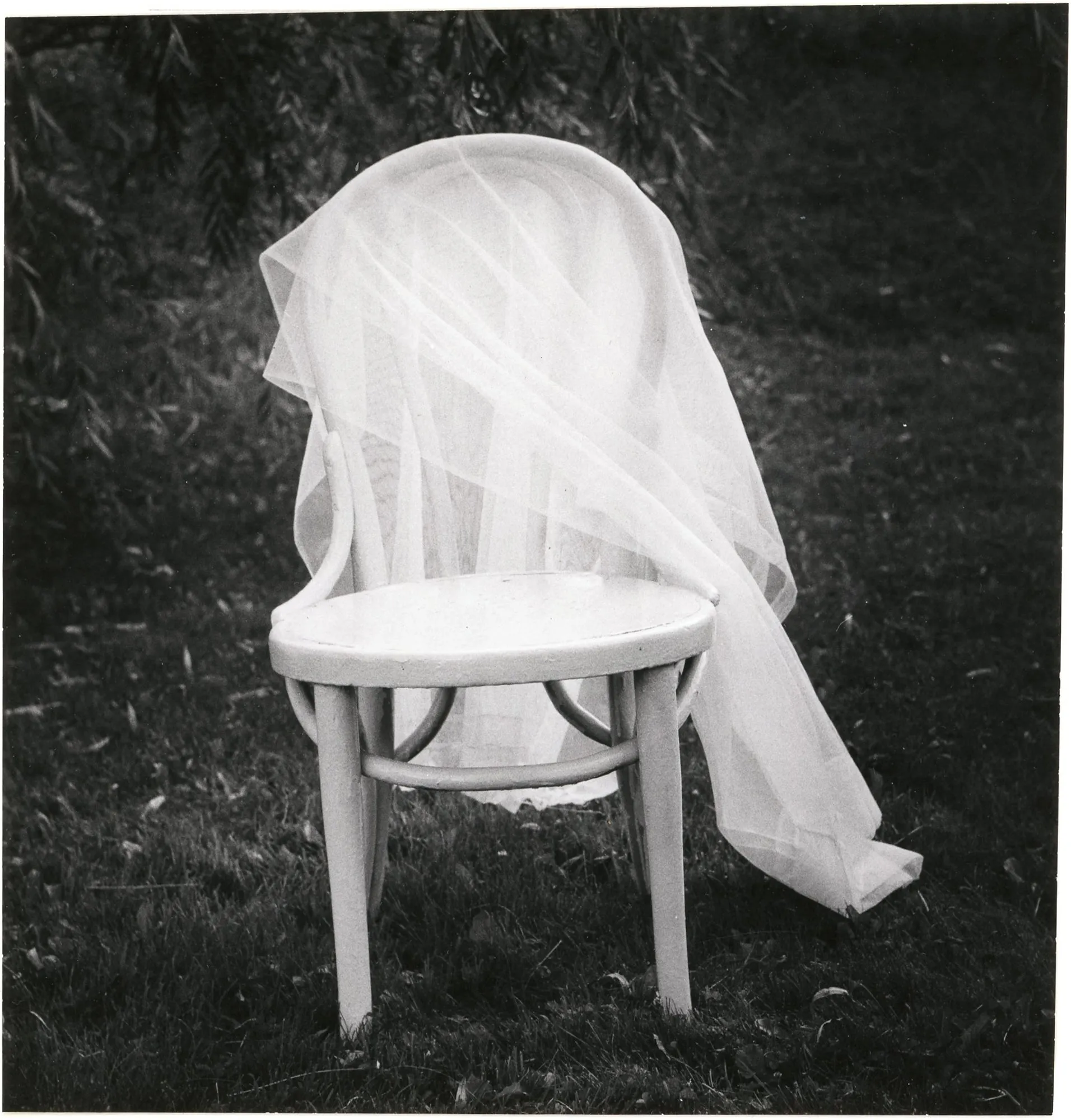 Bridal Bentwood