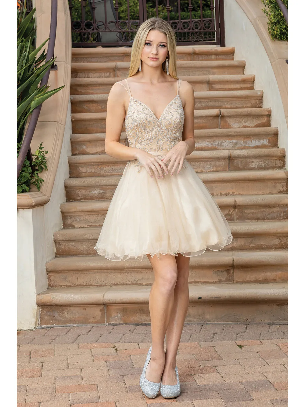 Dancing Queen 3315