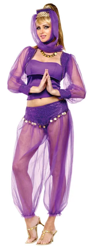 Dreamy Genie Adult Medium/Large 10-14  Costume