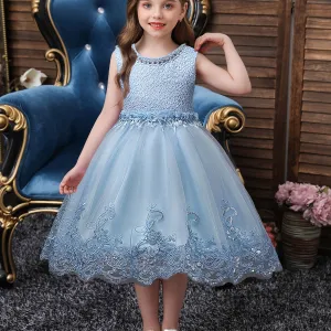 Girls Princess Sleeveless Tutu Dress with Flower Embroidery
