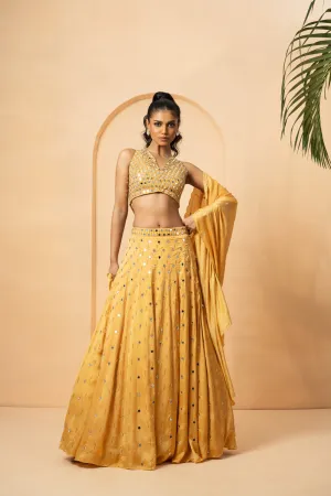Golden Mirror Lehenga Set