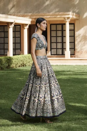Nadisa Zardozi & Resham Silk Skirt Set - Navy Blue