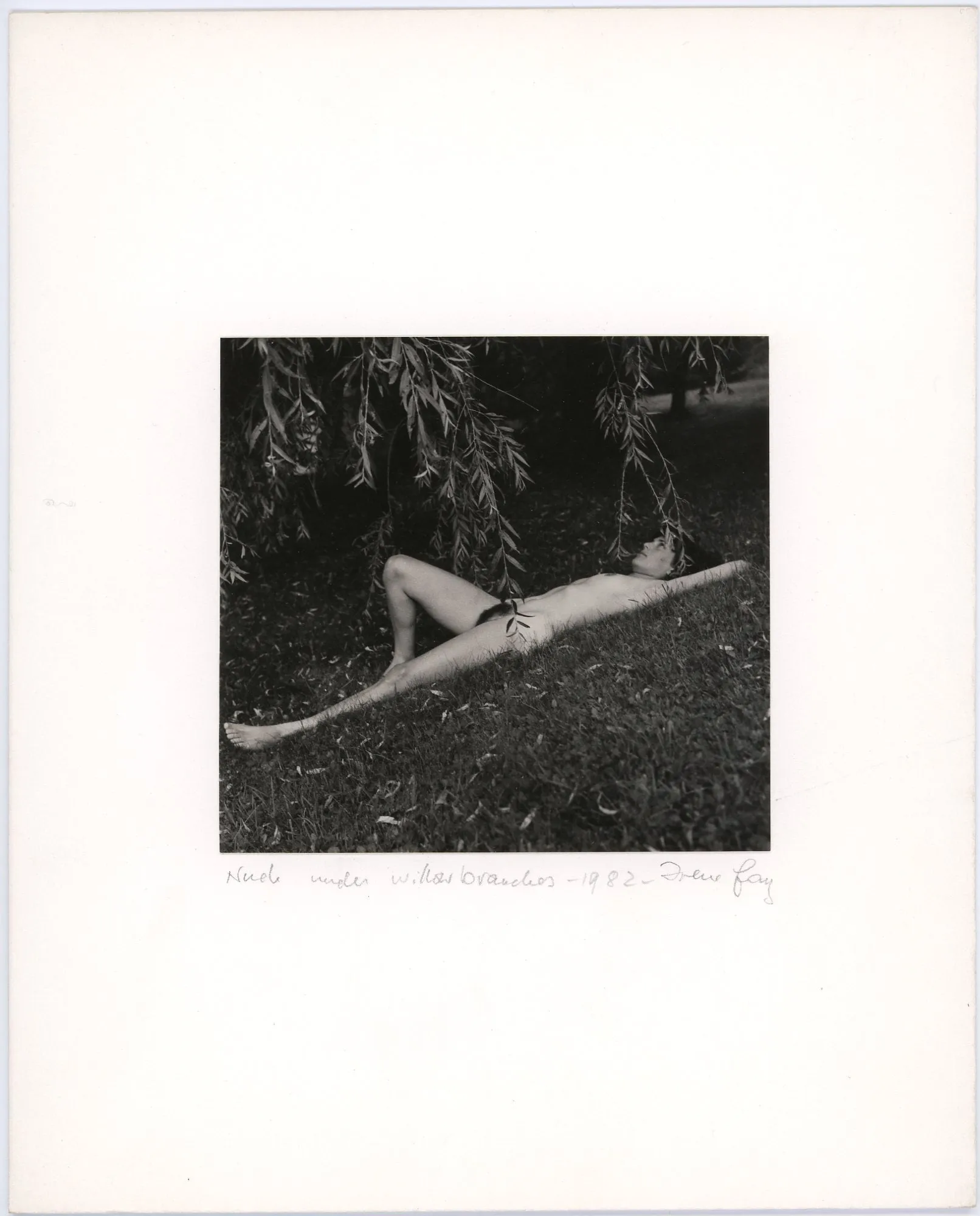 Nude Under Willow Branches