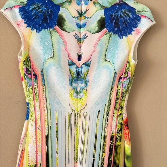 NWT Clover Canyon Griffith Park Floral Print Dress Size XS Retail $298