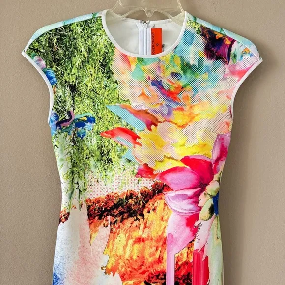 NWT Clover Canyon Griffith Park Floral Print Dress Size XS Retail $298