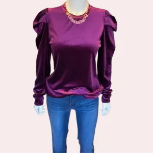 Purple velvet long sleeve top