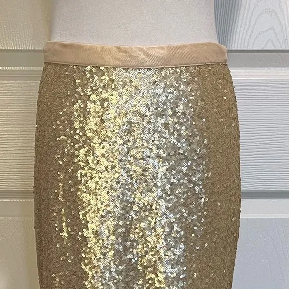 Revelry gold sequin maxi skirt