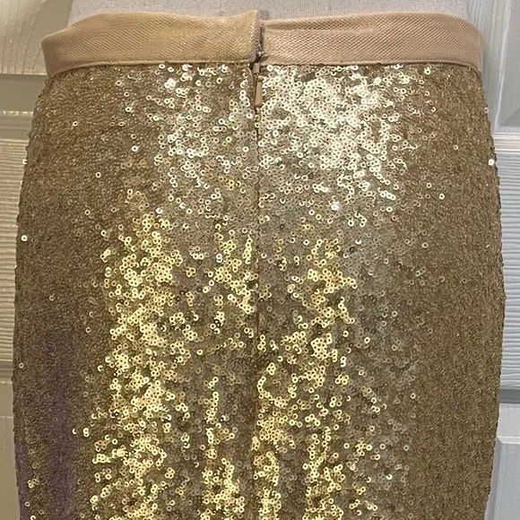 Revelry gold sequin maxi skirt