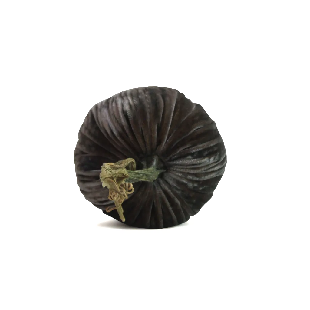 Smokey Topaz Velvet Pumpkin
