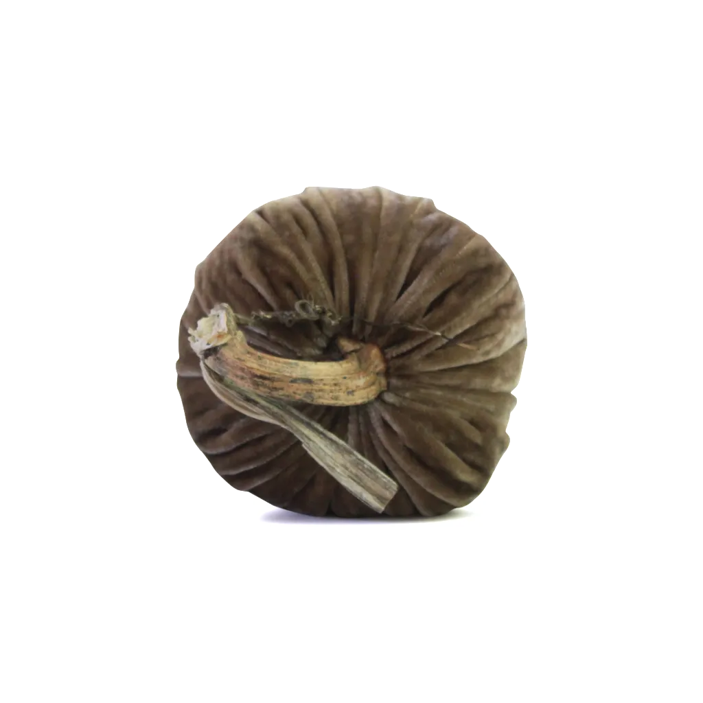 Stone Velvet Pumpkin