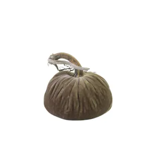 Stone Velvet Pumpkin
